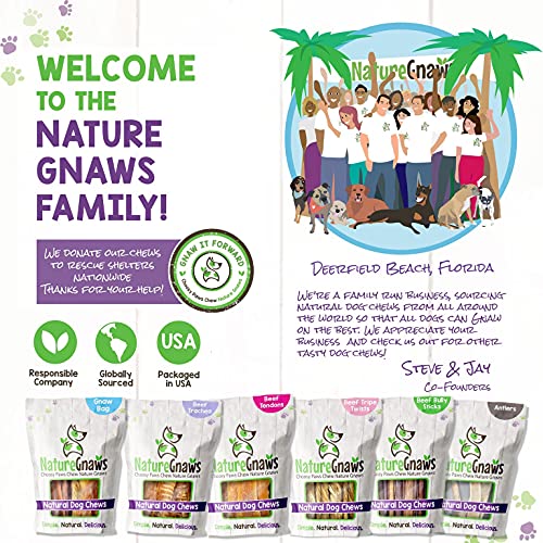  Nature Gnaws Beef Jerky Sticks For Dogs - Premium Natural Beef Gullet Bones - Simple Single Ingredient Tasty Dog Chew Treats - Rawhide Free - 5-6 Inch (8 Oz)