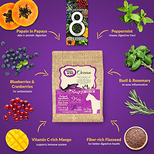  Wishbone Ocean King Salmon Grain-Free And Gluten-Free Dog Food, All Natural Dry Dog Food, Rich In Omega 3 Dog Food, High Protein Dry Dog Food - 4 Lb