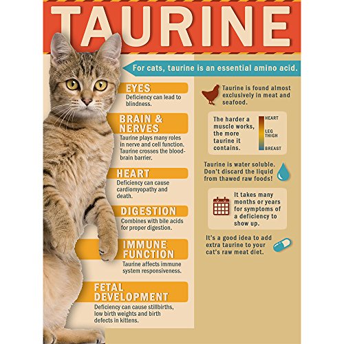  Cat-Man-Doo- Dried Bonito Flakes Pet Treat, X-Large 2 Pack