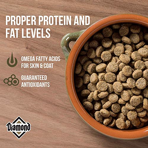  Diamond PREMIUM RECIPE Maintenance Complete And Balanced Dry Dog Food For A Moderately Active Dog, 40lb