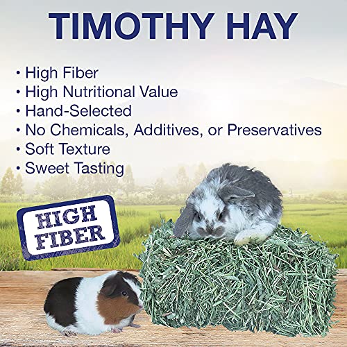 Grandpa's Best Timothy Hay Mini Bale, 10 Lbs (Packaging May Vary),Brown