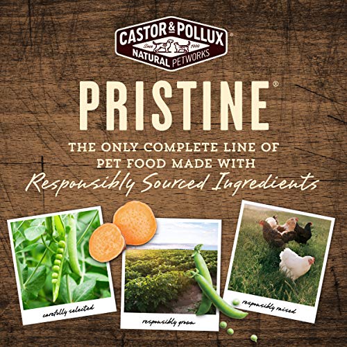  Castor & Pollux Pristine Grain Free Small Breed Grass-Fed Beef Stew Canned Dog Food, (12) 3.5oz Cans