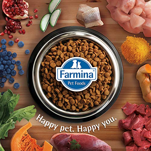  Farmina N&D Functional Quinoa Digestion Lamb Dry Cat Food 3.3 Pounds