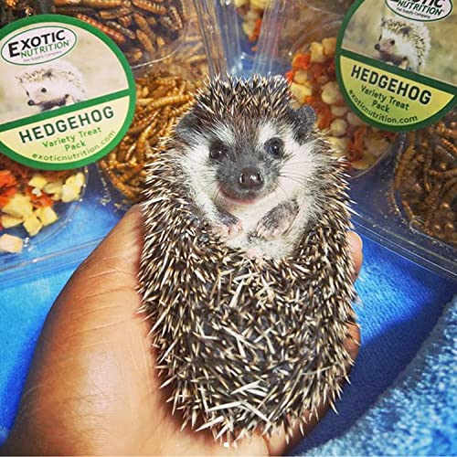  Hedgehog Treat Variety Pack - Healthy Natural Treat Assortment - Dried Mealworms, Dried Black Soldier Fly Larvae, Dried Crickets, Dried Apples & Carrots - Sampler Variety Value Package