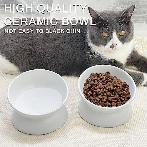 GENERIC PAILUOMU Ceramic Raised Cat Bowl, Set 2 Tilted Elevated Pet Food And Water Bowls, Stress Free Cat Dog Feeder Dish, Suitable For Small, Medium Cats And Dogs,White