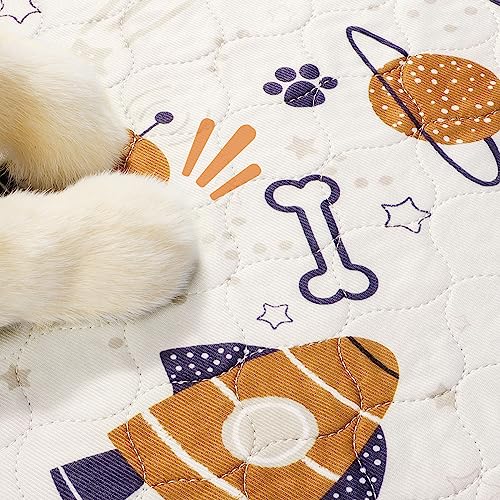 Siwa Mary Puppy Pads, 2-Pack Super Absorbent Pee Pads For Dogs, Non-Slip Washable Dog Pee Pads, Quick Dry Reusable Puppy Pads, Waterproof Dog Mat- Pet Supplies Ideal For Puppy Whelping & Training