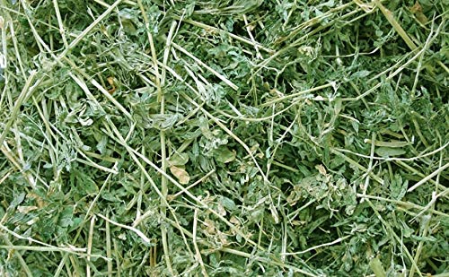  Standlee Premium Western Forage Alfalfa, 10lb Box