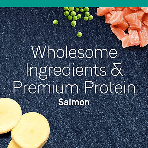  Canidae Pure Limited Ingredient Premium Dry Cat Food, Real Salmon Recipe, 10 Lbs, Grain Free