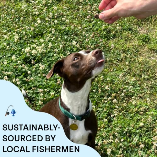  Chippin Wild-Caught Fish Jerky | Natural Dog Training Treats And Toy Stuffer | Grain-Free, Hypoallergenic & Human-Grade Protein | Puppies & Senior Dogs | Low Fat, Skin & Coat Support