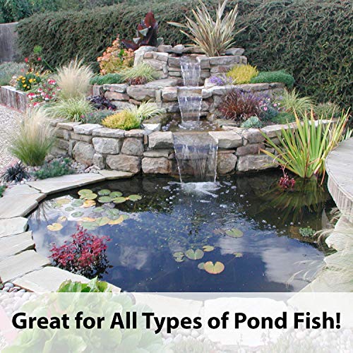  Kaytee Koi's Choice Koi Floating Fish Food, 3 Pound