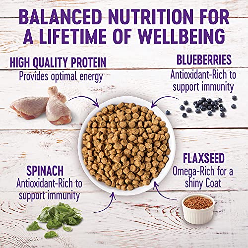  Wellness Complete Health Natural Grain Free Dry Puppy Food, Chicken & Salmon, 24-Pound Bag