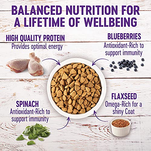  Wellness Complete Health Large Breed Dry Dog Food With Grains, Natural Ingredients, Made In USA With Real Meat (Adult, Chicken & Rice, 15-Pound Bag)