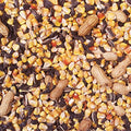  Wild Delight Crunch N' Nut Squirrel Food, 8 Lb