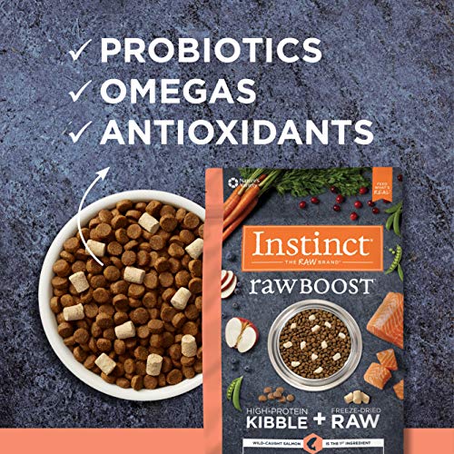  Instinct Raw Boost Grain Free Recipe With Real Salmon Natural Dry Cat Food By Nature's Variety, 4.5 Lb. Bag