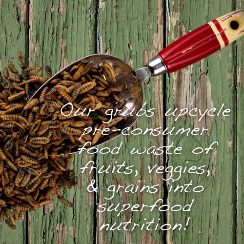  Scratch And Peck Feeds Cluckin’ Good Grubs For Chickens - Sustainably Grown In North America - Natural High Protein, Calcium Dense - Dried Black Soldier Fly Larvae Bird Treats - 1.25-lbs