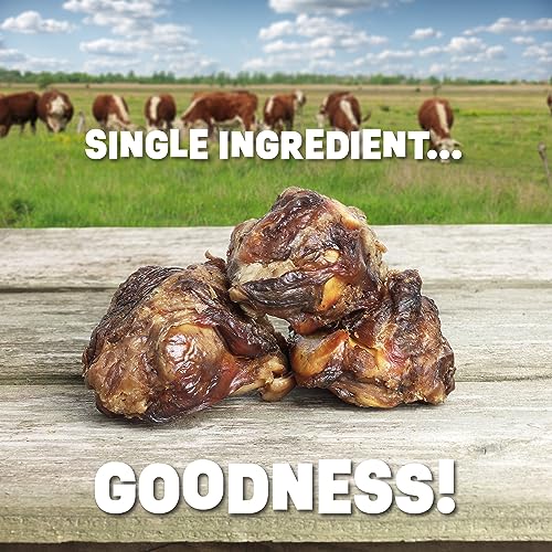  PUPDAWGS Single Ingredient Dog Bone Made In USA - Beef Knee Caps - 100% Natural Dog Bones For Aggressive Chewers - From USDA Inspected Beef - Hickory Smoked - Individually Wrapped (3 Piece Pack)