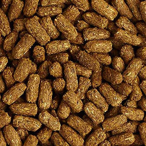  Mazuri | Tortoise LS Diet For African Spurred/Sulcata, Desert, Egyptian, Galapagos, Gopher, Greek, Leopard, Pancake, Radiated Or Yellow-Footed Tortoise, | 12 Ounce (12 OZ) Bag
