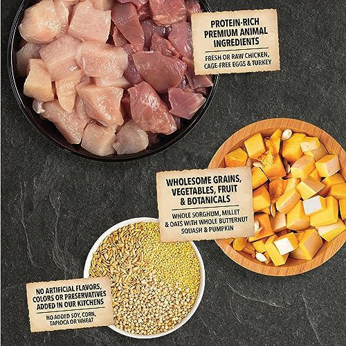  ACANA Wholesome Grains Dry Dog Food, Small Breed Recipe, Chicken And Turkey Dog Food, 11.5lb