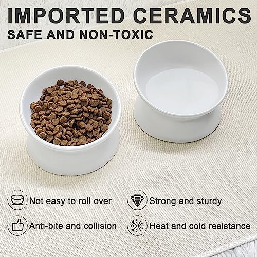 GENERIC PAILUOMU Ceramic Raised Cat Bowl, Set 2 Tilted Elevated Pet Food And Water Bowls, Stress Free Cat Dog Feeder Dish, Suitable For Small, Medium Cats And Dogs,White
