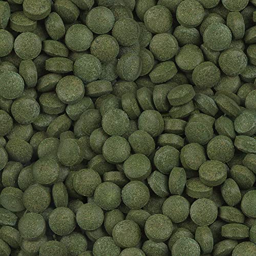  Sera Plankton Tabs Nature 2.9 Lb 1, 3 Kg, One Size