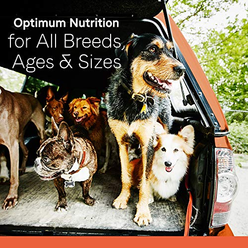 Canidae All Life Stages Premium Dry Dog Food For All Breeds, All Ages, Chicken Meal & Rice Recipe, 40 Lbs