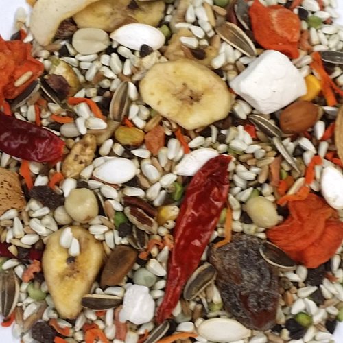  Kaylor Of Colorado AS-1106028 2 Lb Sweet Harvest Parrot With Sunflower Bird Food