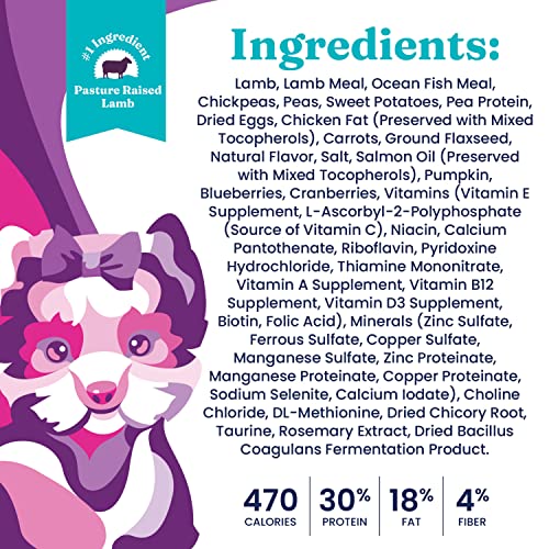  Solid Gold Mighty Mini Small Breed Dog Food - Dry Dog Food For Any Toy Breed - For Gut Health & Sensitive Stomach Support - Digestive Probiotics For Dogs - Grain & Gluten Free Recipe