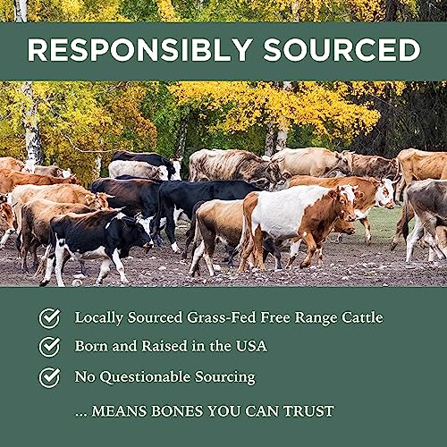  K9 Connoisseur Single Ingredient Dog Bones Made In USA For Large Breed Aggressive Chewers All Natural Long Lasting Meaty Mammoth Marrow Filled Bone Chew Treat Best For Dogs Over 50 LBS -Goliath 1 Pack