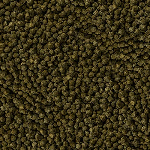  Sera 7052 KOI Color Mini 12.7 Oz 1.000 Ml Pet Food, One Size
