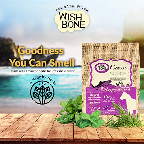  Wishbone Ocean King Salmon Grain-Free And Gluten-Free Dog Food, All Natural Dry Dog Food, Rich In Omega 3 Dog Food, High Protein Dry Dog Food - 4 Lb