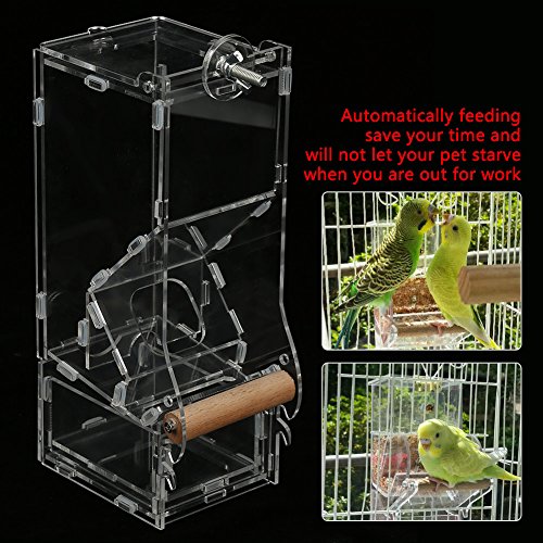  Bird Food Feeder Acrylic Transparent Pet Seeds Automatic Food Feeder Cage Toy (Size : L Single)