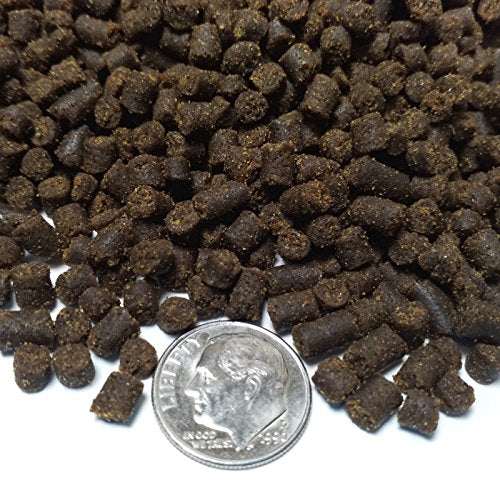  Axolotl Food 3/16" Soft Moist Sinking Pellets For Axolotls, Snails, Newts, Shrimp & All Fish. Rangen 3/16"...1/2-lb