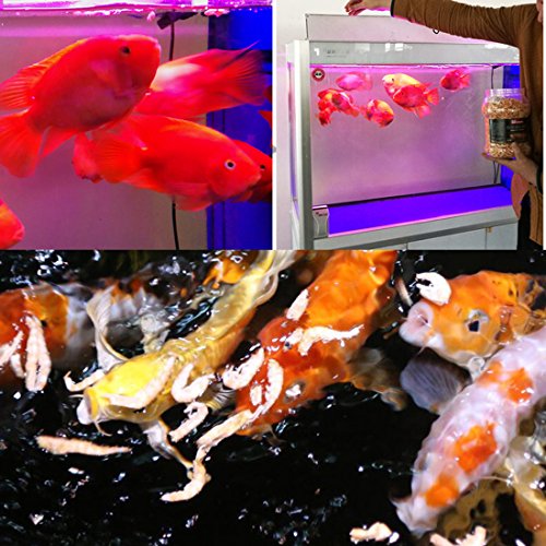  Jacksupermall 1200ml Turtle Food Freeze Dried Krill Aquarium Pond Fish Food Floating Shrimp Carnivore Koi Tropical Cichlid Turtle Feed(1200ml)