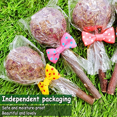  16 Pcs Rabbit Natural Timothy Hay Sticks Guinea Pig Natural Flowers Lollipop Chew Toys Timothy Hay Sticks Wood Molar Toys Small Animal Chew Treats For Bunny Hamsters Chinchillas Gerbils