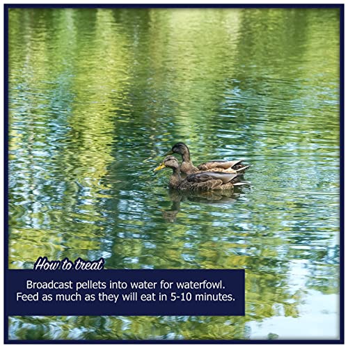  Natural Waterscapes Waterfowl Feed 20 Lb Bag | Floating Pellets For Duck, Swan, Goose | For Wild And Pet Ducks