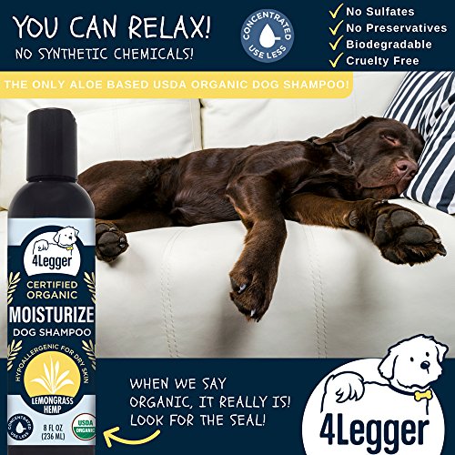  4Legger All Natural Hemp Oil Shampoo For Dogs - USDA Certified Organic Dog Shampoo With Lemongrass Essential Oil - Moisturizing Dry Itchy Skin Dog Shampoo - Concentrated - USA - 8 Fl Oz