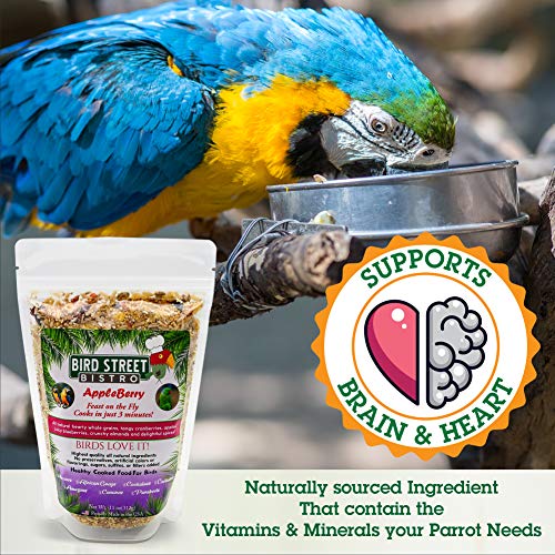  Bird Street Bistro Parrot Food - Parakeet Food - Cockatiel Food - Bird Food - Cooks In 3-15 Min W/Natural & Organic Grains - Legumes - Non-GMO Fruits, Vegetables, & Health Orientated Spices