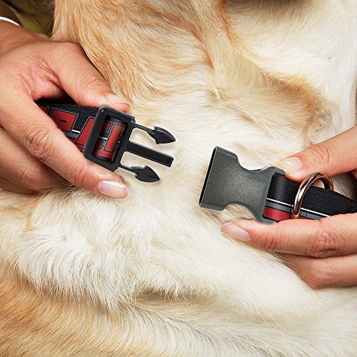  Buckle-Down 15-26" Rip City/Stripe/Mesh Black/Gray/Red Plastic Clip Collar, Large