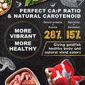  Ultra Fresh Floating Goldfish Food, Color Enhancing, Balanced Diet, All Natural Ingredients, Clear Water Formula, Goldfish Premium Pellet, 15 Oz