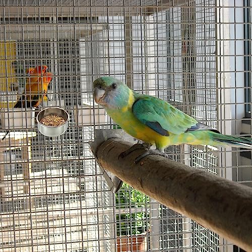  PATIKIL Bird Feeding Dish Cup, 1 Set Stainless Steel Parrot Cage Feeder Water Bowl With Clamp Holder For Small Animals, Silver Tone