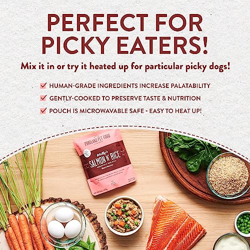  Crafted By Humans Loved By Dogs Portland Pet Food Company Human-Grade Dog Food Pouch — Mixer, Topper, And Rotational Meal (Wally's Salmon, 5 Pack)