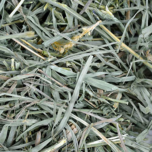  Oxbow Animal Health Meadow Hay - All Natural Hay For Rabbits, Guinea Pigs, Chinchillas, Hamsters & Gerbils - 40 Oz.