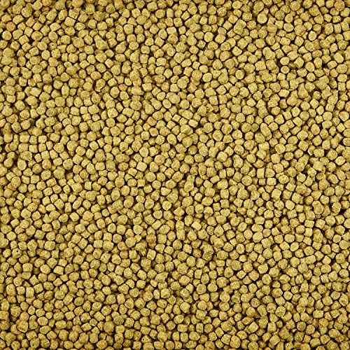  Kaytee Koi's Choice Koi Floating Fish Food, 3 Pound