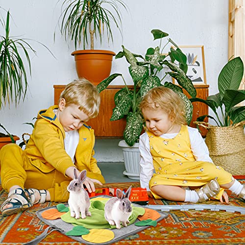  Mipcase 2pcs Tunnel Rabbits Clicker Pratical Dogs Rabbit, Forbid Mat With Puzzle Non All Sniff Small Chinchillas, Dog Things Pigs, For To Stuff Cooling Animals Rabbits, Licking