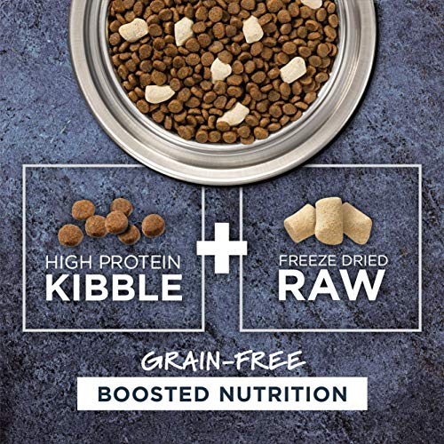  Instinct Raw Boost Grain Free Recipe With Real Salmon Natural Dry Cat Food By Nature's Variety, 4.5 Lb. Bag