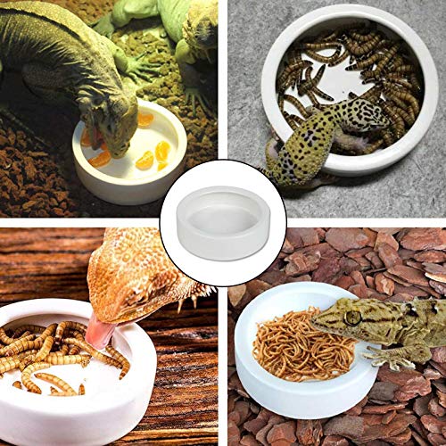  Ceramic Reptile Food And Water Bowl Set Of 3,Mini Reptile Feeding Dish,Worm Dish For Lizard Anoles Bearded Dragons(with Tweezer)