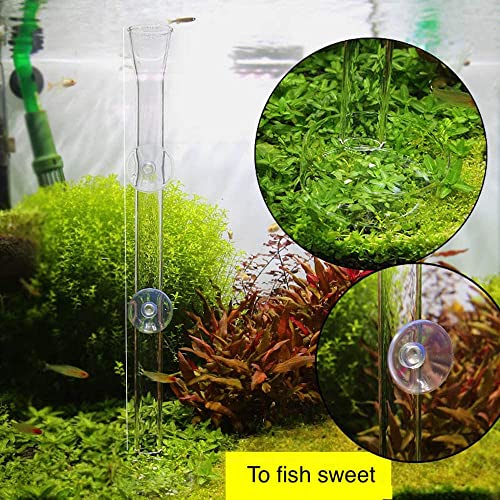GENERIC 2in1 Shrimp Feeding Tube And Dish, Clear Crystal Glass Shrimp Feeder Tube Tray For Fish Tank Aquarium Shrimp (10in Feeding Tube + 60mm Dish)