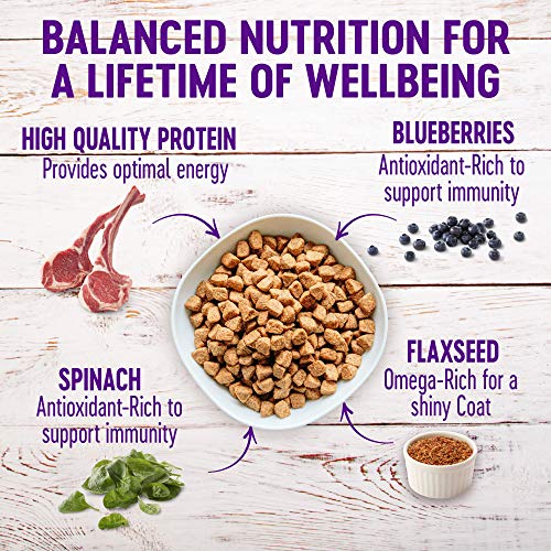  Wellness Complete Health Dry Dog Food With Grains, Made In USA With Real Meat & Natural Ingredients, All Breeds, Adult Dogs (Lamb & Barley, 30-lb) – With Nutrients For Immune, Skin, & Coat Support