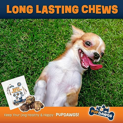  PUPDAWGS Single Ingredient Dog Bone Made In USA - Beef Knee Caps - 100% Natural Dog Bones For Aggressive Chewers - From USDA Inspected Beef - Hickory Smoked - Individually Wrapped (3 Piece Pack)