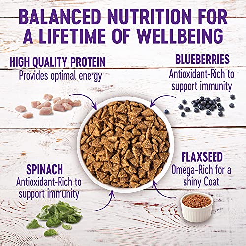  Wellness Complete Health Small Breed Dry Dog Food With Grains, Natural Ingredients, Made In USA With Real Turkey, For Dogs Up To 25 Lbs, (Adult, Turkey & Oatmeal, 4-Pound Bag)
